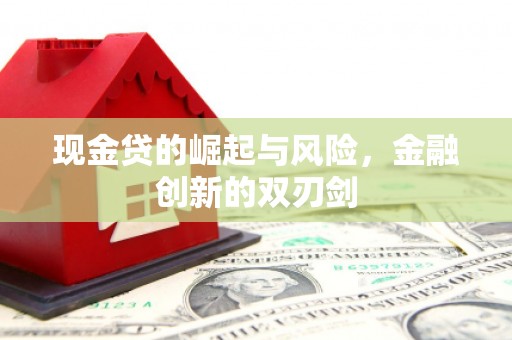永登现金贷的崛起与风险，金融创新的双刃剑