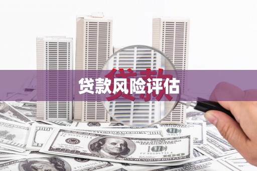 永登贷款风险评估