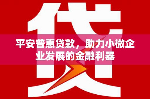 永登平安普惠贷款，助力小微企业发展的金融利器