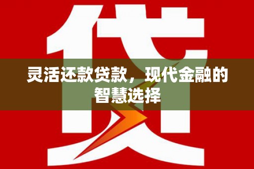 永登灵活还款贷款，现代金融的智慧选择