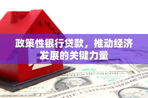 永登政策性银行贷款，推动经济发展的关键力量