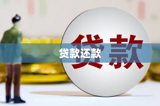 永登贷款还款