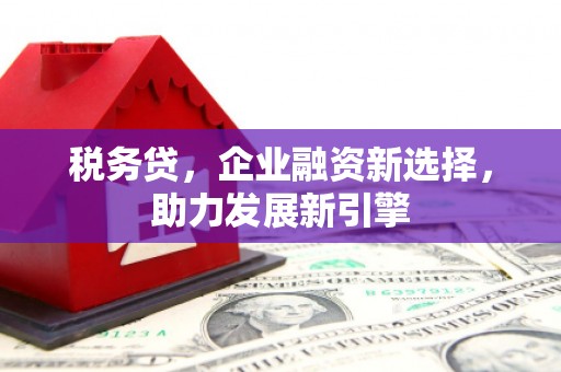 永登税务贷，企业融资新选择，助力发展新引擎