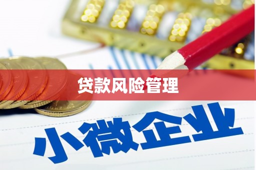 永登贷款风险管理