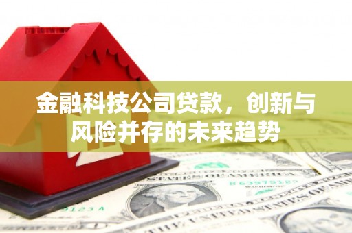 永登金融科技公司贷款，创新与风险并存的未来趋势