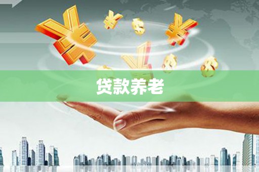 永登贷款养老