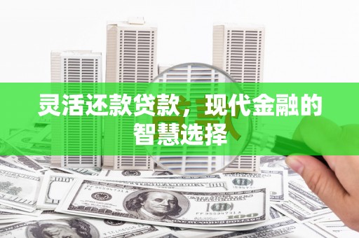 永登灵活还款贷款，现代金融的智慧选择