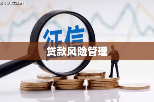 永登贷款风险管理