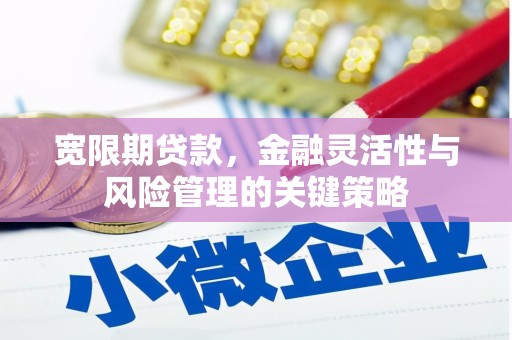 永登宽限期贷款，金融灵活性与风险管理的关键策略