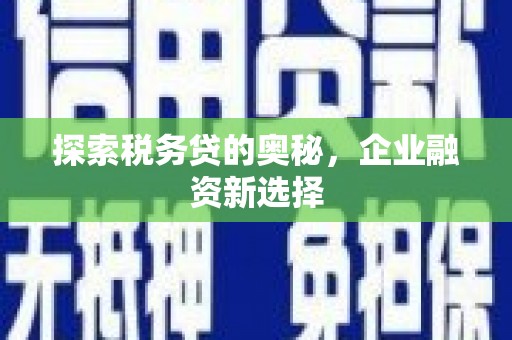 永登探索税务贷的奥秘，企业融资新选择