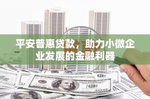 永登平安普惠贷款，助力小微企业发展的金融利器