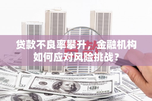 永登贷款不良率攀升，金融机构如何应对风险挑战？