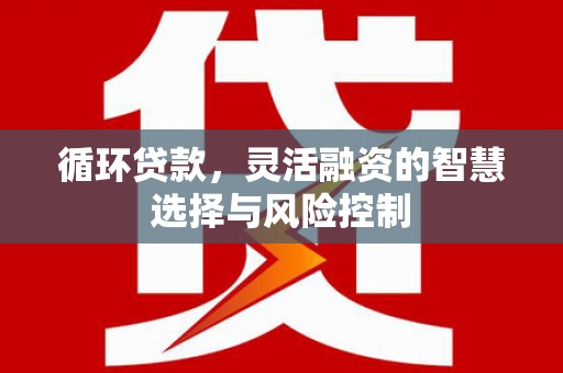 永登循环贷款，灵活融资的智慧选择与风险控制