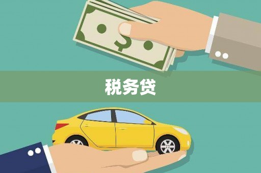永登税务贷