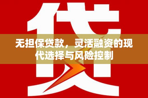 永登无担保贷款，灵活融资的现代选择与风险控制
