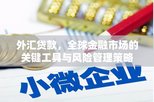 永登外汇贷款，全球金融市场的关键工具与风险管理策略