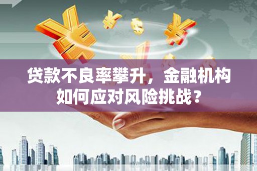 永登贷款不良率攀升，金融机构如何应对风险挑战？