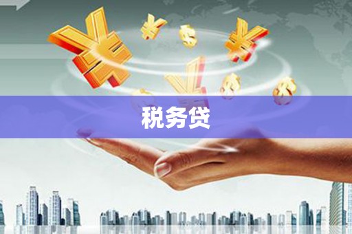 永登税务贷