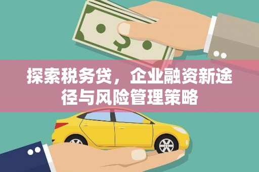 永登探索税务贷，企业融资新途径与风险管理策略