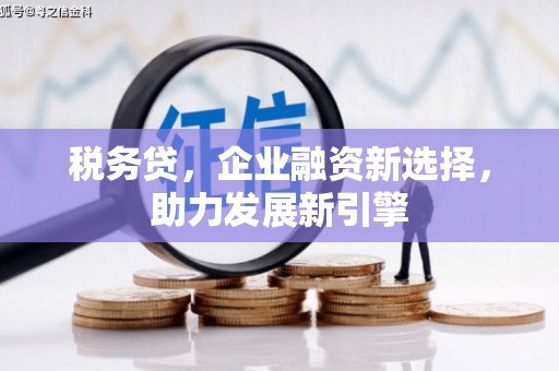 永登税务贷，企业融资新选择，助力发展新引擎