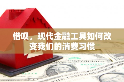 永登借呗，现代金融工具如何改变我们的消费习惯