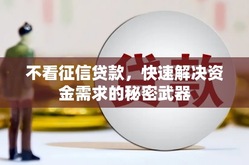 永登不看征信贷款，快速解决资金需求的秘密武器