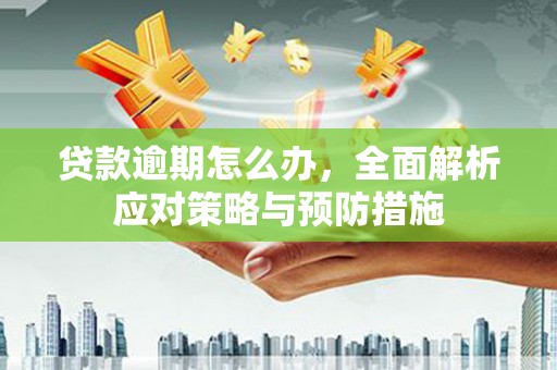 永登贷款逾期怎么办，全面解析应对策略与预防措施