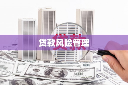 永登贷款风险管理