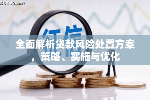 永登全面解析贷款风险处置方案，策略、实施与优化