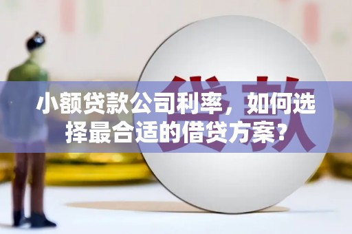 永登小额贷款公司利率，如何选择最合适的借贷方案？