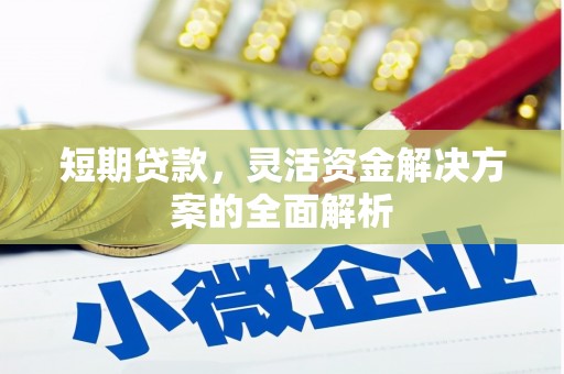 永登短期贷款，灵活资金解决方案的全面解析