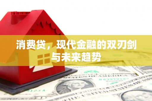 永登消费贷，现代金融的双刃剑与未来趋势