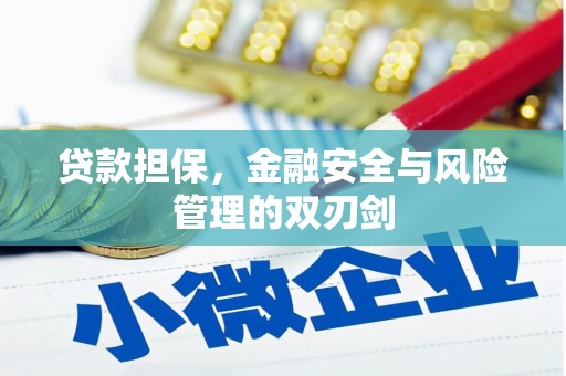 永登贷款担保，金融安全与风险管理的双刃剑