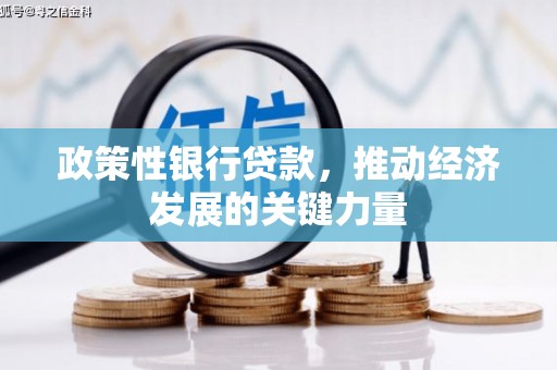 永登政策性银行贷款，推动经济发展的关键力量
