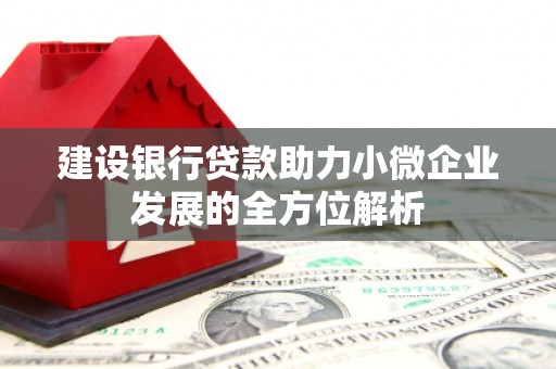 永登建设银行贷款助力小微企业发展的全方位解析
