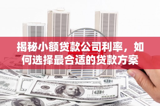永登揭秘小额贷款公司利率，如何选择最合适的贷款方案