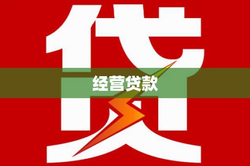 永登经营贷款
