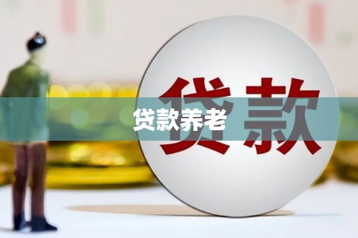 永登贷款养老