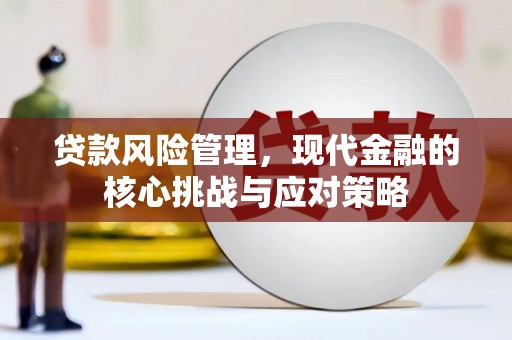 永登贷款风险管理，现代金融的核心挑战与应对策略