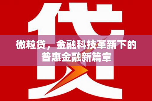 永登微粒贷，金融科技革新下的普惠金融新篇章