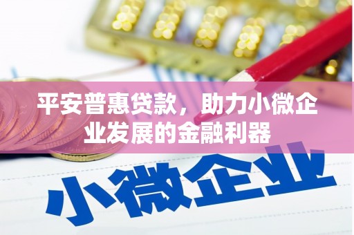 永登平安普惠贷款，助力小微企业发展的金融利器