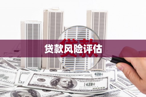 永登贷款风险评估