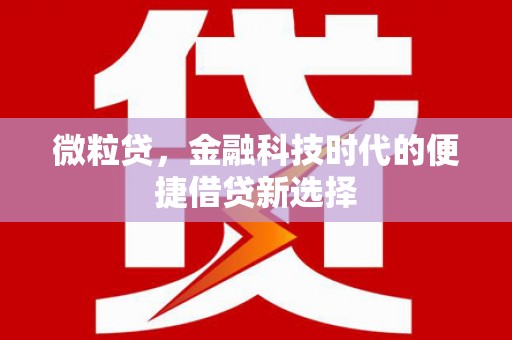 永登微粒贷，金融科技时代的便捷借贷新选择