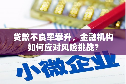 永登贷款不良率攀升，金融机构如何应对风险挑战？