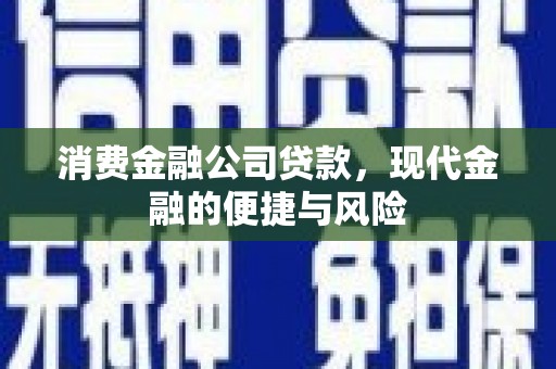 永登消费金融公司贷款，现代金融的便捷与风险