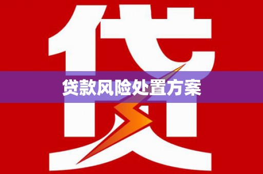 永登贷款风险处置方案