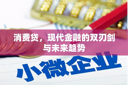 永登消费贷，现代金融的双刃剑与未来趋势