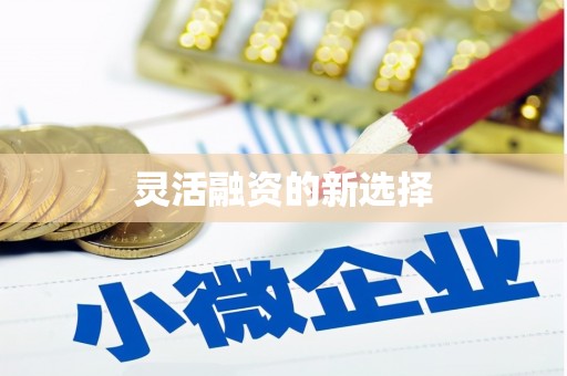 永登灵活融资的新选择