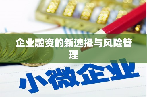 永登企业融资的新选择与风险管理