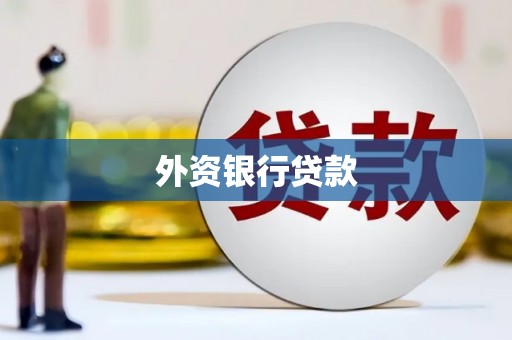 永登外资银行贷款